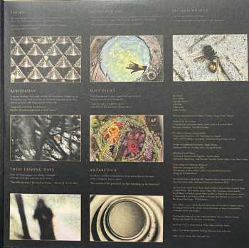 2LP The Church: The Hypnogogue LTD | CLR