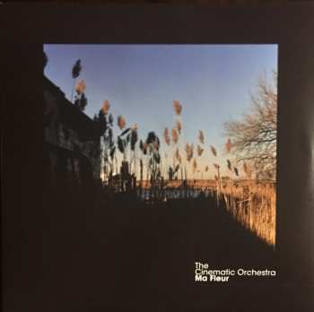 2LP The Cinematic Orchestra: Ma Fleur