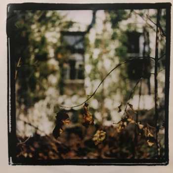 2LP The Cinematic Orchestra: Ma Fleur