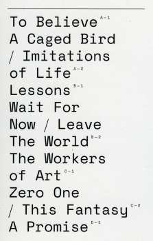 2LP The Cinematic Orchestra: To Believe