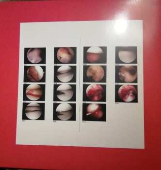 LP The Cradle: Laughing In My Sleep