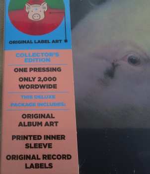 LP The Damned: Strawberries DLX | CLR