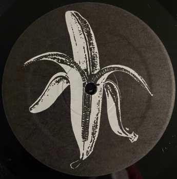 LP The Dandy Warhols: The Black Album