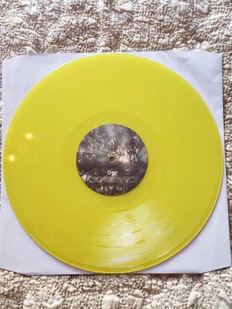 LP The Dangerous Summer: Golden Record LTD | CLR