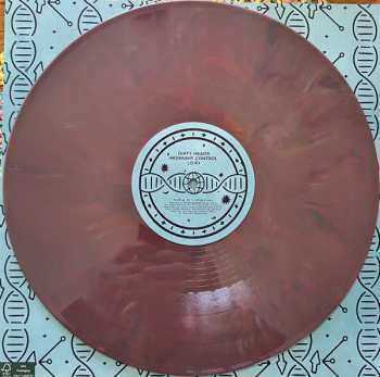 4LP/Caja The Dirty Heads: Midnight Control DLX | CLR