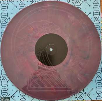 4LP/Caja The Dirty Heads: Midnight Control DLX | CLR