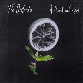 CD The Districts: A Flourish And A Spoil