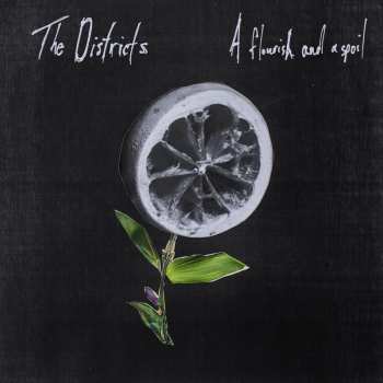 LP The Districts: A Flourish And A Spoil