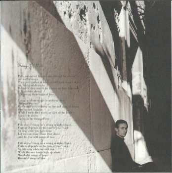 CD The Divine Comedy: Casanova