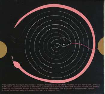 CD The Duke Spirit: Sky Is Mine