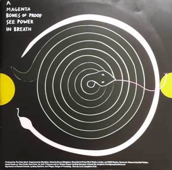 LP The Duke Spirit: Sky Is Mine CLR