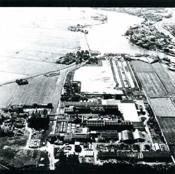 CD/Caja The Ex: Dignity Of Labour