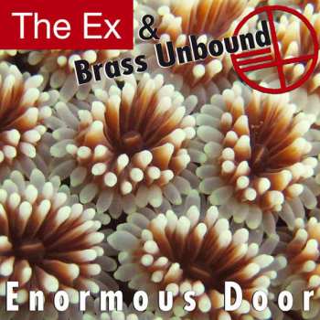 LP The Ex: Enormous Door