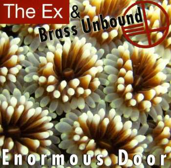 CD The Ex: Enormous Door