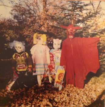 LP The Felice Brothers: Celebration, Florida