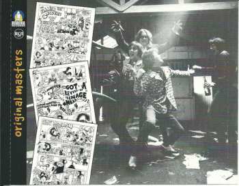 CD The Flamin' Groovies: Teenage Head