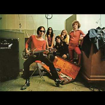 CD The Flamin' Groovies: Teenage Head LTD