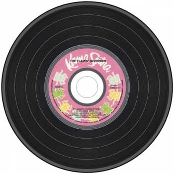 CD The Flamin' Groovies: Teenage Head LTD