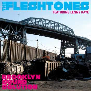 CD The Fleshtones: Brooklyn Sound Solution