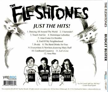CD The Fleshtones: Budget Buster