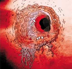 Album The Flying Luttenbachers: Terror Iredescence
