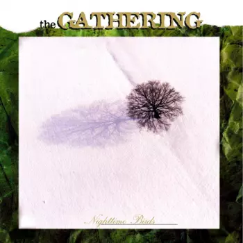 The Gathering: Nighttime Birds