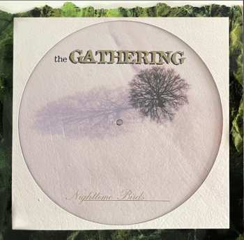 LP The Gathering: Nighttime Birds LTD | PIC