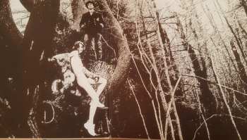 LP The Ghost Of A Saber Tooth Tiger: (Acoustic Sessions)