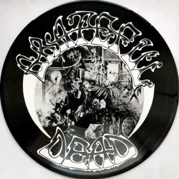 LP The Grateful Dead: American Beauty LTD | PIC
