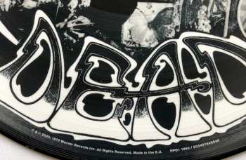 LP The Grateful Dead: American Beauty LTD | PIC