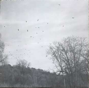 LP The Hackensaw Boys: A Fireproof House Of Sunshine 