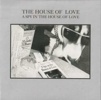 8CD/Caja The House Of Love: Burn Down The World - The Fontana Years 1989-1993