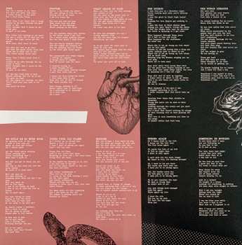 LP Amy Macdonald: The Human Demands