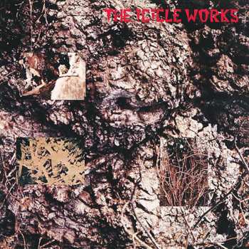 5CD/Caja The Icicle Works: 5 Albums