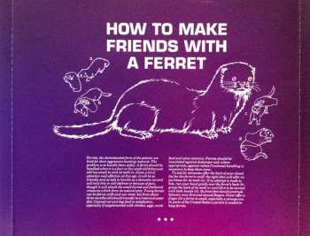 CD Idjut Boys: Death Before Distemper * Volume 3 * A Fistful Of Ferrets