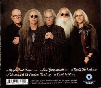 CD The Immediate Family: Slippin' And Slidin'