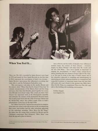 LP The J.B.'s: More Mess On My Thing