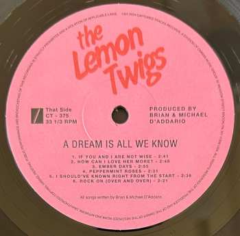 LP The Lemon Twigs: A Dream Is All We Know