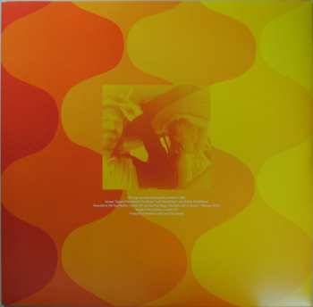 LP The Lemonheads: Varshons II CLR | LTD