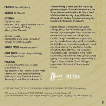 CD The Lincoln Trio: Trios From Contemporary Chicago