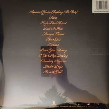 LP The Menzingers: Hello Exile CLR | LTD