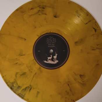LP The Menzingers: Hello Exile CLR | LTD