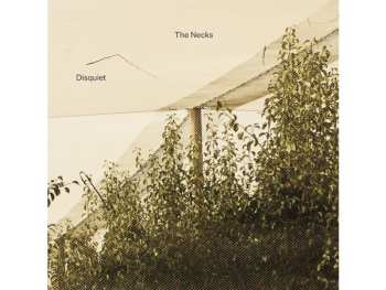 Album The Necks: Disquiet