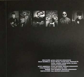 CD The Nels Cline Singers: Share The Wealth LTD