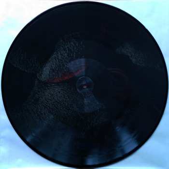 LP The Ocean: Rhyacian PIC