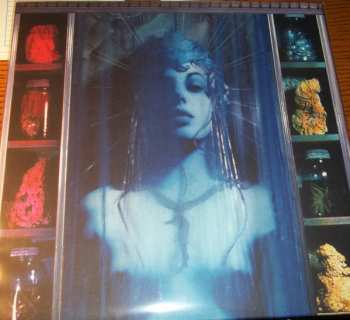 2LP The Ophelias: Bare Bodkin CLR | LTD | NUM