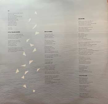 2LP/SP The Orange Peels: Celebrate The Moments Of Your Life