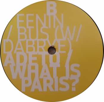 LP The Orb: The Orb + Fenin / Bus