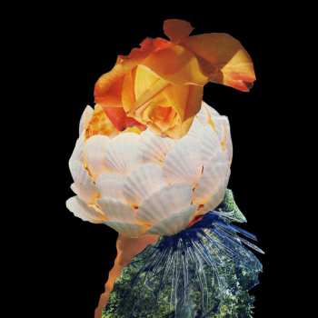 Album The Parels: Mineral Kingdom