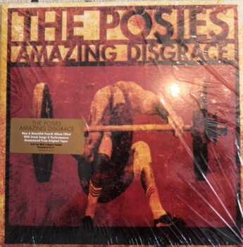 LP The Posies: Amazing Disgrace